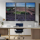 South Carolina Gamecocks Football Team Print - Columbia by MyGreatCanvas | Canvas Wall Art Prints | Photo Prints & Wall Decor