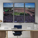 South Carolina Gamecocks Football Team Print - Columbia