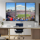 Buffalo Bills NFL Football Team Print - Buffalo Highmark
