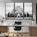 Resting Grizzly Bear Wall Art Canvas Print – Majestic Lazy by MyGreatCanvas | Canvas Wall Art Prints | Photo Prints & Wall Decor