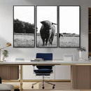 Black and White Highland Cow Wall Art Canvas Print | Rustic