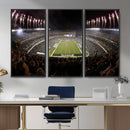Eagles Field Stadium Wall Art - Philadelphia Eagles Football