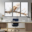 Barn Owl Wall Art on Branch | Stunning Canvas Print for