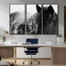 Black Horse in Snow Canvas Print | Winter Horse Wall Art |