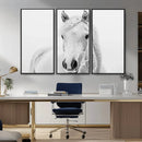 Majestic White Horse Wall Art | Ready to Hang and Framed | by MyGreatCanvas | Canvas Wall Art Prints | Photo Prints & Wall Decor