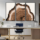 Rustic Wood Rings Wall Art | Nature-Inspired Tree Ring