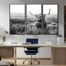 Scottish Highland Cow Wall Art | Black and White Canvas