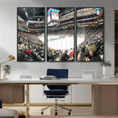 Xcel Energy Center St Paul Minnesota Wild Ice Hockey Stadium