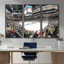 Xcel Energy Center St Paul Minnesota Wild Ice Hockey Stadium