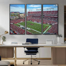 Florida Tampa Raymond James Stadium Wall Art Canvas Print -