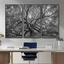 Majestic Angel Oak Tree Black and White Canvas Print – Multi by MyGreatCanvas | Canvas Wall Art Prints | Photo Prints & Wall Decor