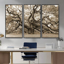 Sepia Framed Angel Oak Tree Wall Art - 3-Panel Canvas by MyGreatCanvas | Canvas Wall Art Prints | Photo Prints & Wall Decor