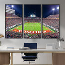 NC State Wolfpack Canvas Print - Raleigh Carter-Finley