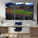 Colorado Buffaloes Canvas Print - Boulder Folsom Field