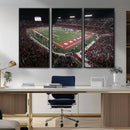 Houston Cougars Football Team Print - Houston TDECU Stadium