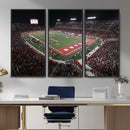 Houston Cougars Football Team Print - Houston TDECU Stadium