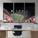Houston Cougars Football Team Print - Houston TDECU Stadium