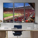 Wisconsin Badgers Football Team Print - Madison Camp Randall