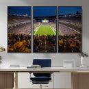 Pittsburgh Panthers Football Team Print - Pittsburgh