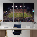 Demon Deacons Print Canvas, Football Team Print -