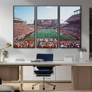 Framed Texas Memorial Stadium Canvas, University of Texas
