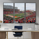 University of Illinois Fighting Illini Football Team Print -