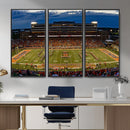 University of Illinois Fighting Illini Football Team Print -