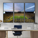University of Michigan Wolverines Football Team Print - Ann