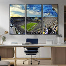 Framed USF Bulls Football Team Print - Tampa Raymond James by MyGreatCanvas | Canvas Wall Art Prints | Photo Prints & Wall Decor