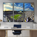 Framed USF Bulls Football Team Print - Tampa Raymond James