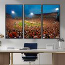 Clemson University Tigers Football Team Print - Clemson