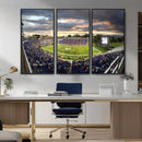 Duke University Blue Devils Football Team Print - Durham