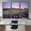 Indiana University Hoosiers Football Team Print -