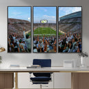 Michigan State Spartans Football Team Art Print - East