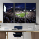 Michigan State Spartans Canvas, Framed Football Team Print -