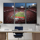 Ohio State University Buckeyes Football Team Print -