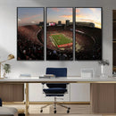 Ohio State University Buckeyes Football Team Print -