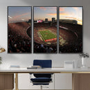 Ohio State University Buckeyes Football Team Print -