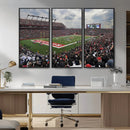 Rutgers Scarlet Knights Football Team Print - SHI Stadium,