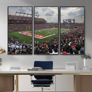 Rutgers Scarlet Knights Football Team Print - SHI Stadium,