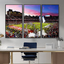 Stanford University Cardinal Football Team Print - Stanford