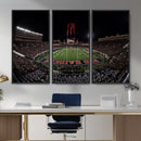 Framed Texas Tech Red Raiders Stadium Canvas, Texas Tech Red