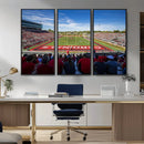 Ball State Cardinals Football Team Print - Muncie Scheumann