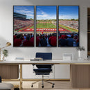 Ball State Cardinals Football Team Print - Muncie Scheumann
