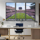 TCU Horned Frogs Football Team Print - Fort Worth Amon G.