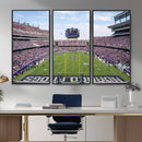 TCU Horned Frogs Football Team Print - Fort Worth Amon G.