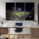 TCU Horned Frogs Football Team Print - Fort Worth Amon G.