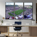 The Texas Christian University TCU Horned Frogs Football