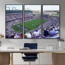 The Texas Christian University TCU Horned Frogs Football