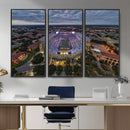 The Louisiana State University Tigers Football Team Print -